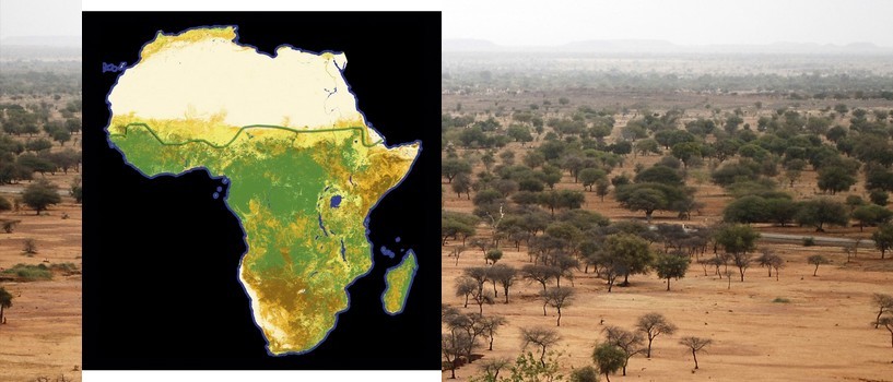 Grande muraille verte au Sahel : les défis de la prochaine décennie 