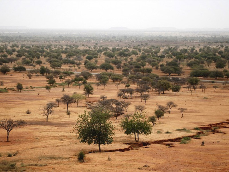 A lire dans “The Conversation” : Grande muraille verte au Sahel : les défis de la prochaine décennie
