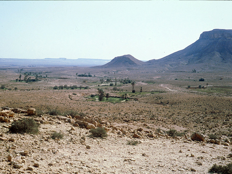 Irrigation en milieu aride, Tunisie