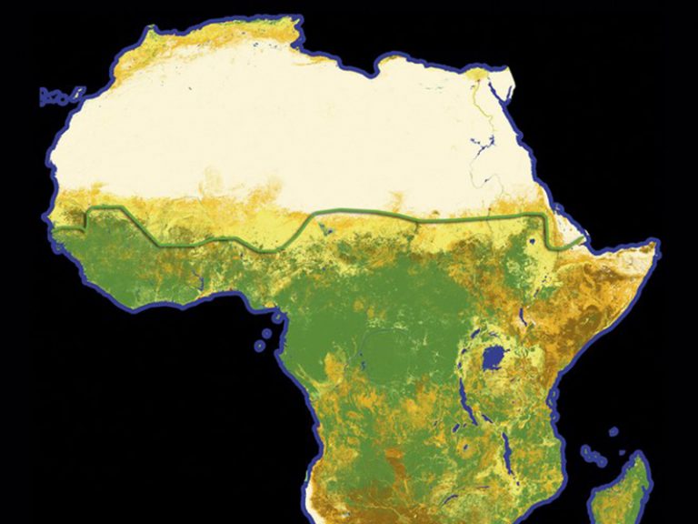 Le projet africain de Grande Muraille Verte