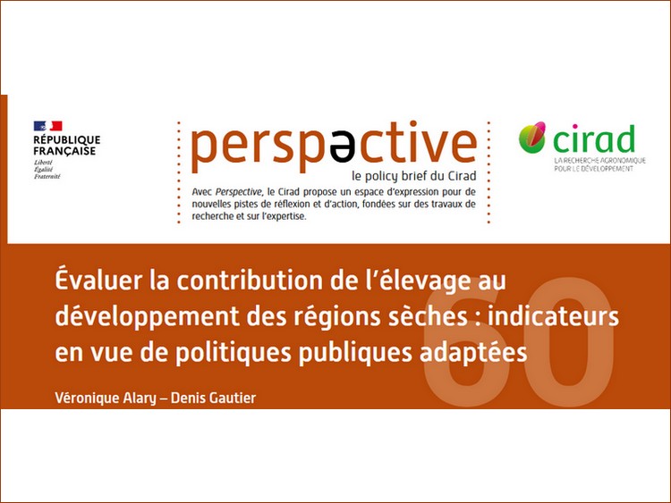 perspectives policy brief du cirad fevrier 23