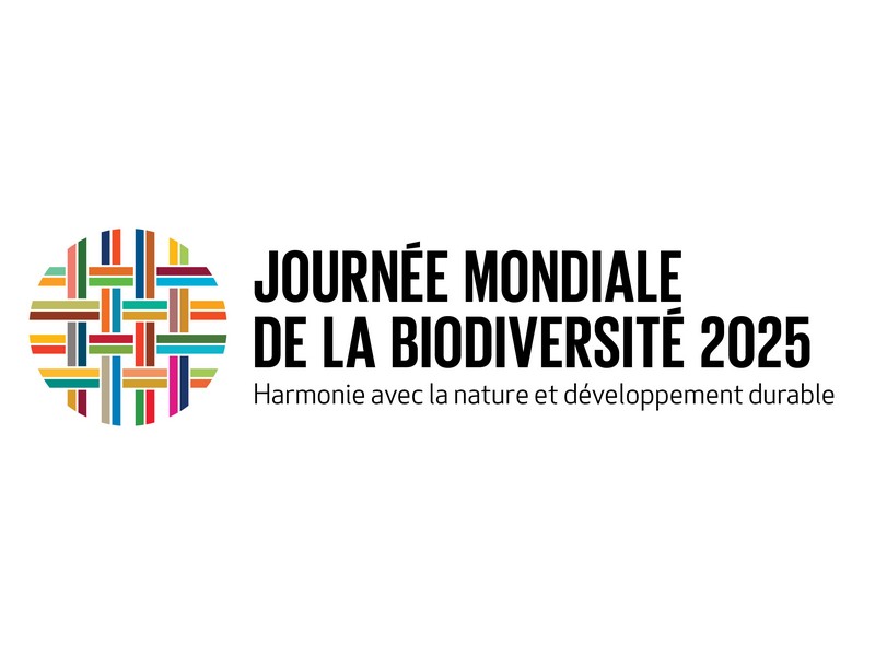 logo journée mondiale diversite 2025-2