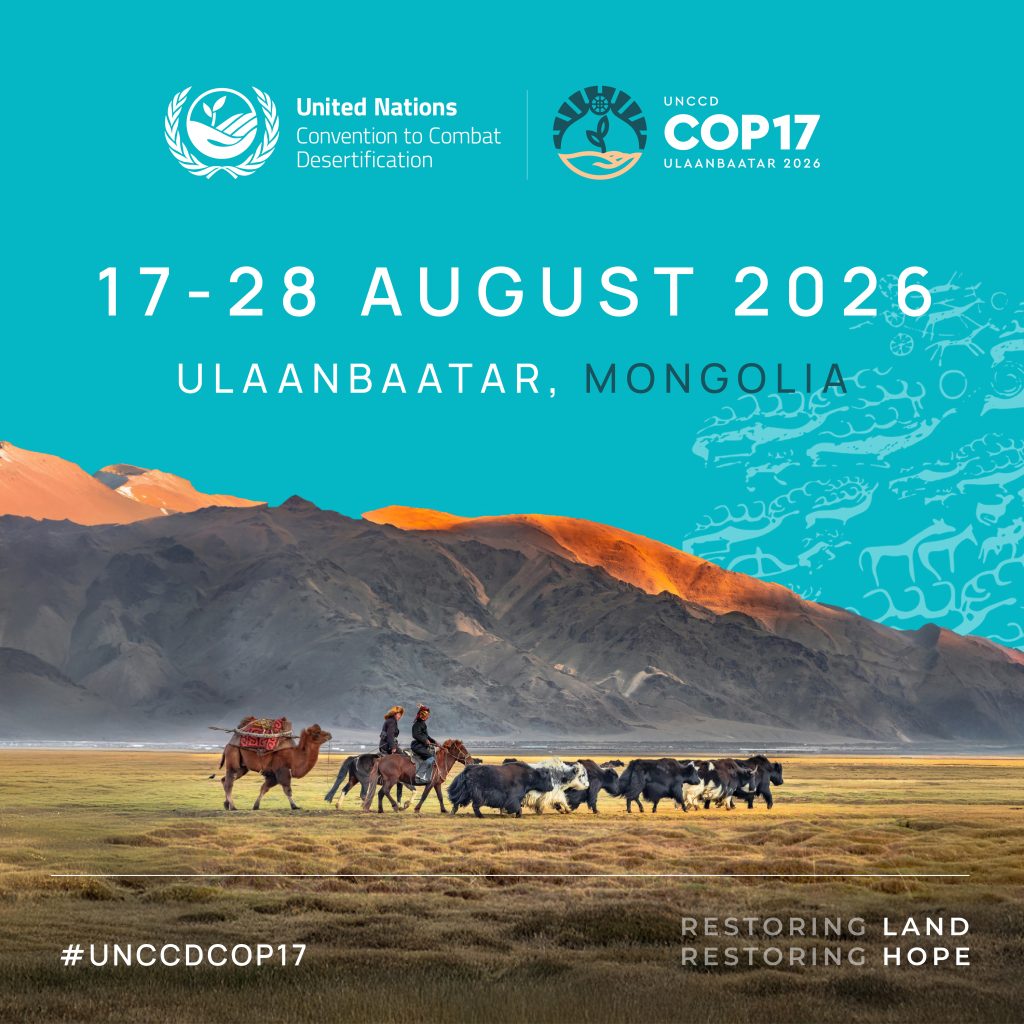 COP17 desertification unccd