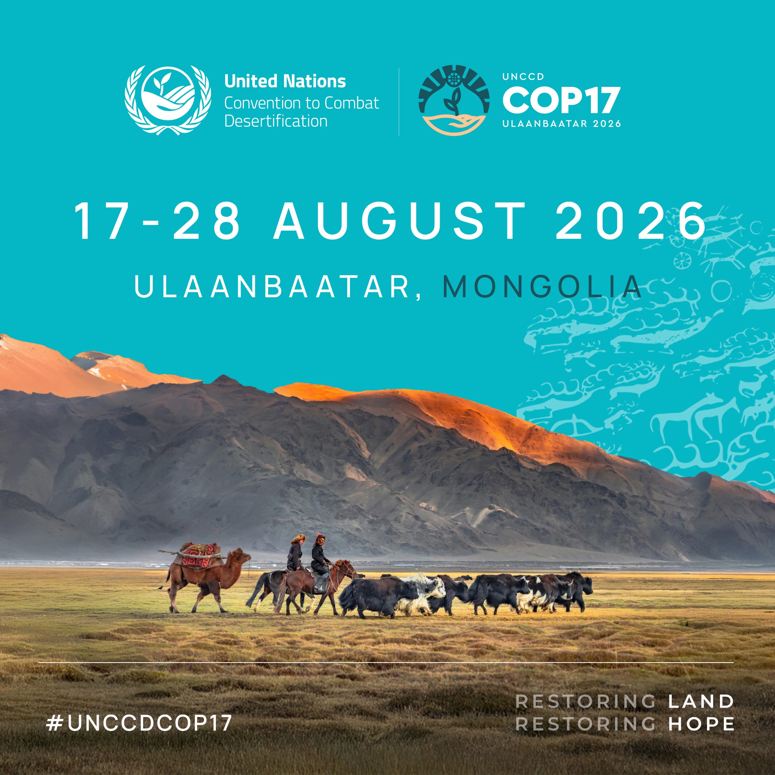 COP17 desertification unccd