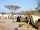 Campement et troupeau d'Èleveurs nomades sur une Óle du lac Tchad.