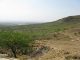 Vue générale d’un pâturage dégradé et envahie par Acacia Siberiana - Bassin versant de Potshini – région de Bergville - Province du KwaZulu Natal – Afrique du Sud.