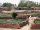 Jardins de fond de vallée en bordure d'un village, protégé par des haies de tiges de mil, irrigués par des puits villageois à l¹eau peu profonde (5-6 m) ; ici en saison sèche.